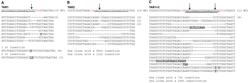 Fig. 3: