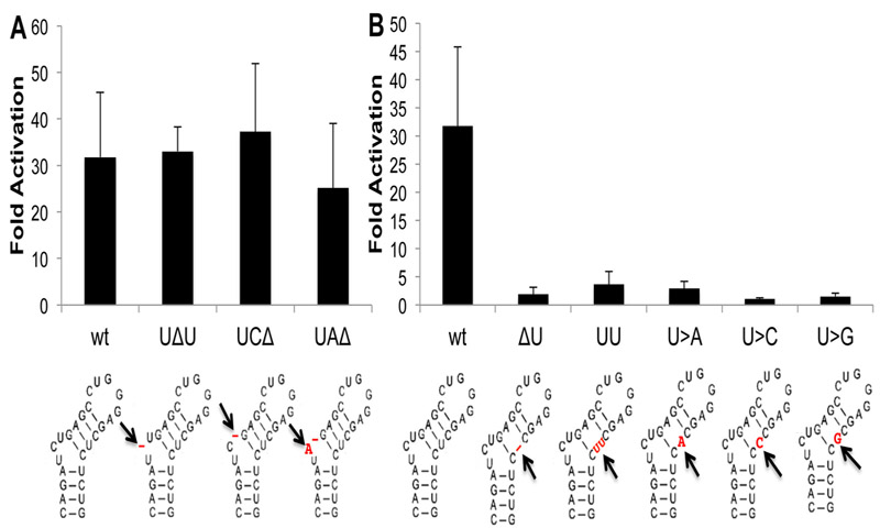 Fig. 9: