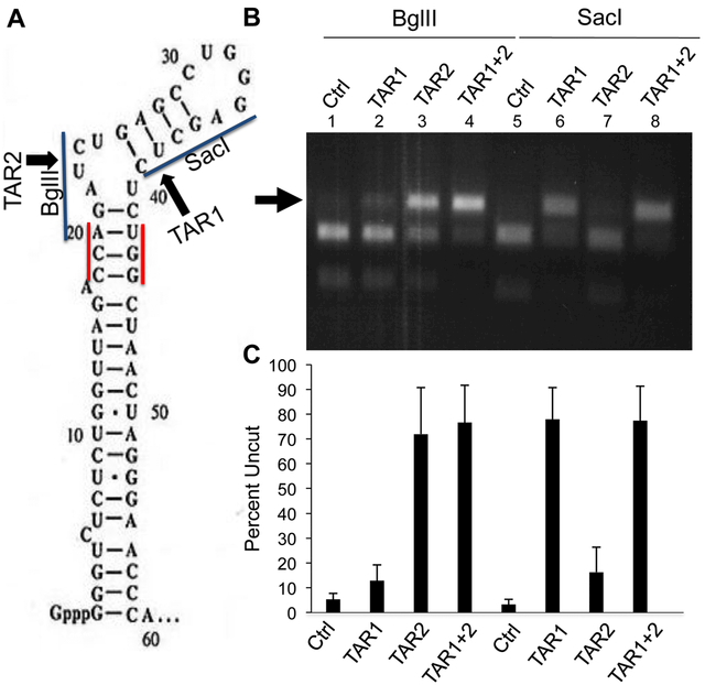 Fig. 2: