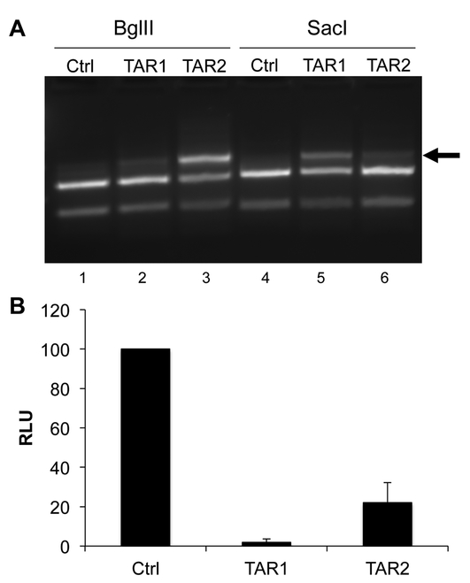 Fig. 6: