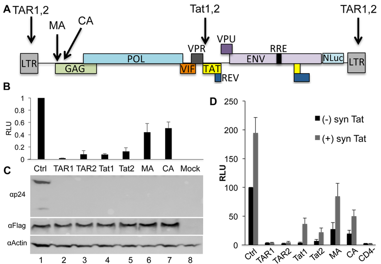 Fig. 1: