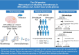 Graphical Abstract