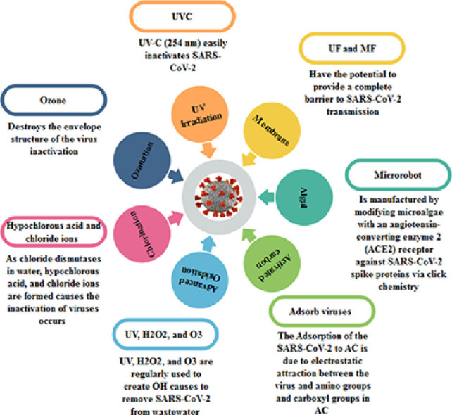 Image, graphical abstract