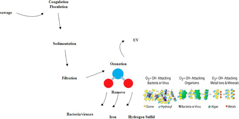 Schema 6