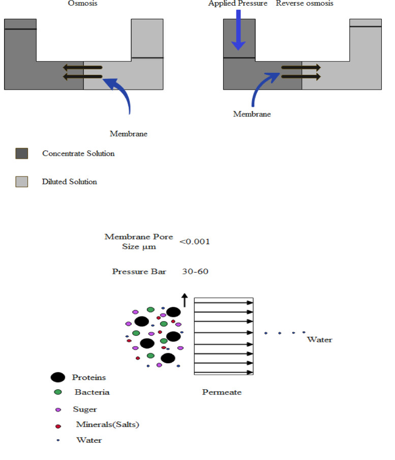 Schema 4