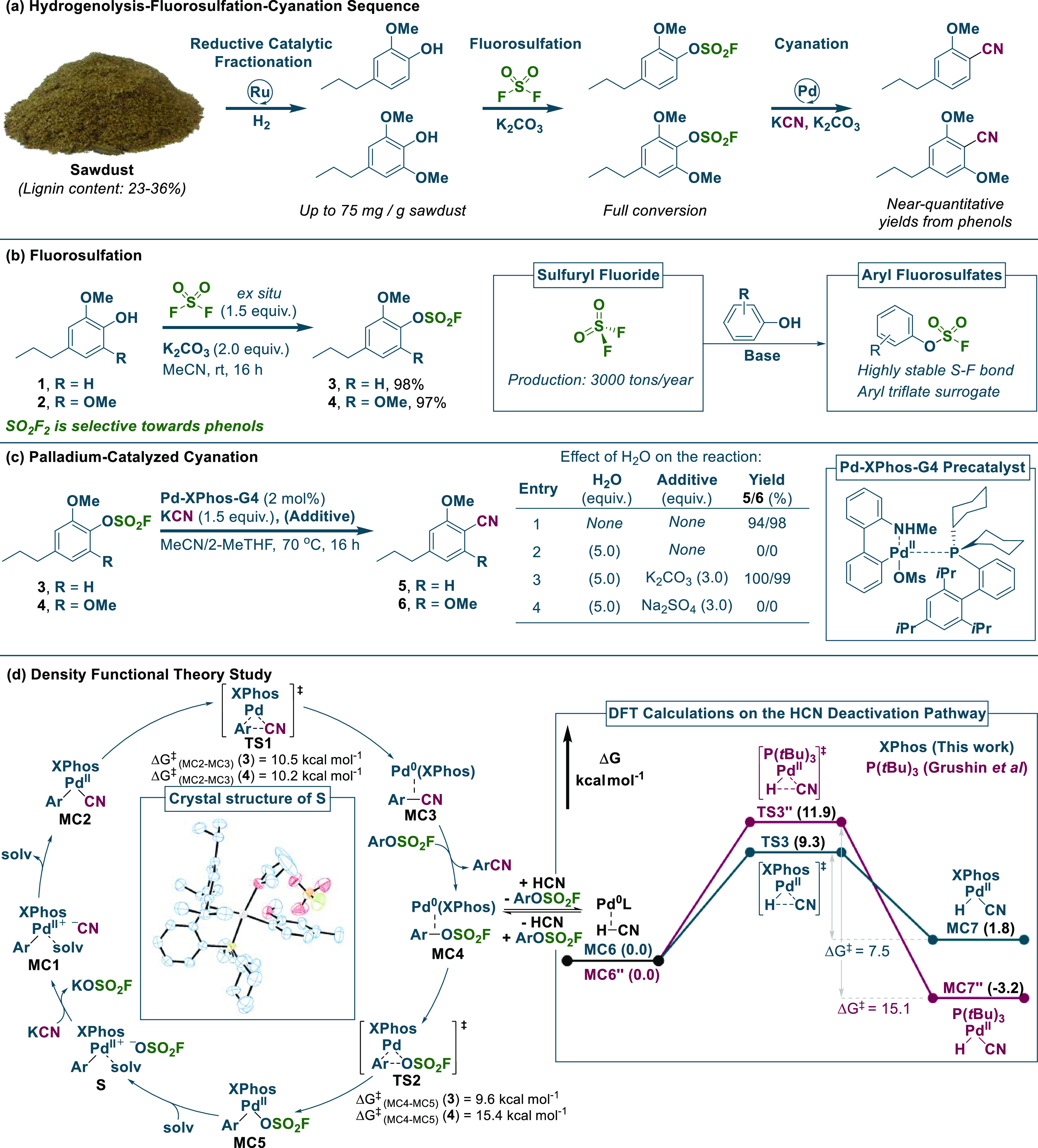 Scheme 2