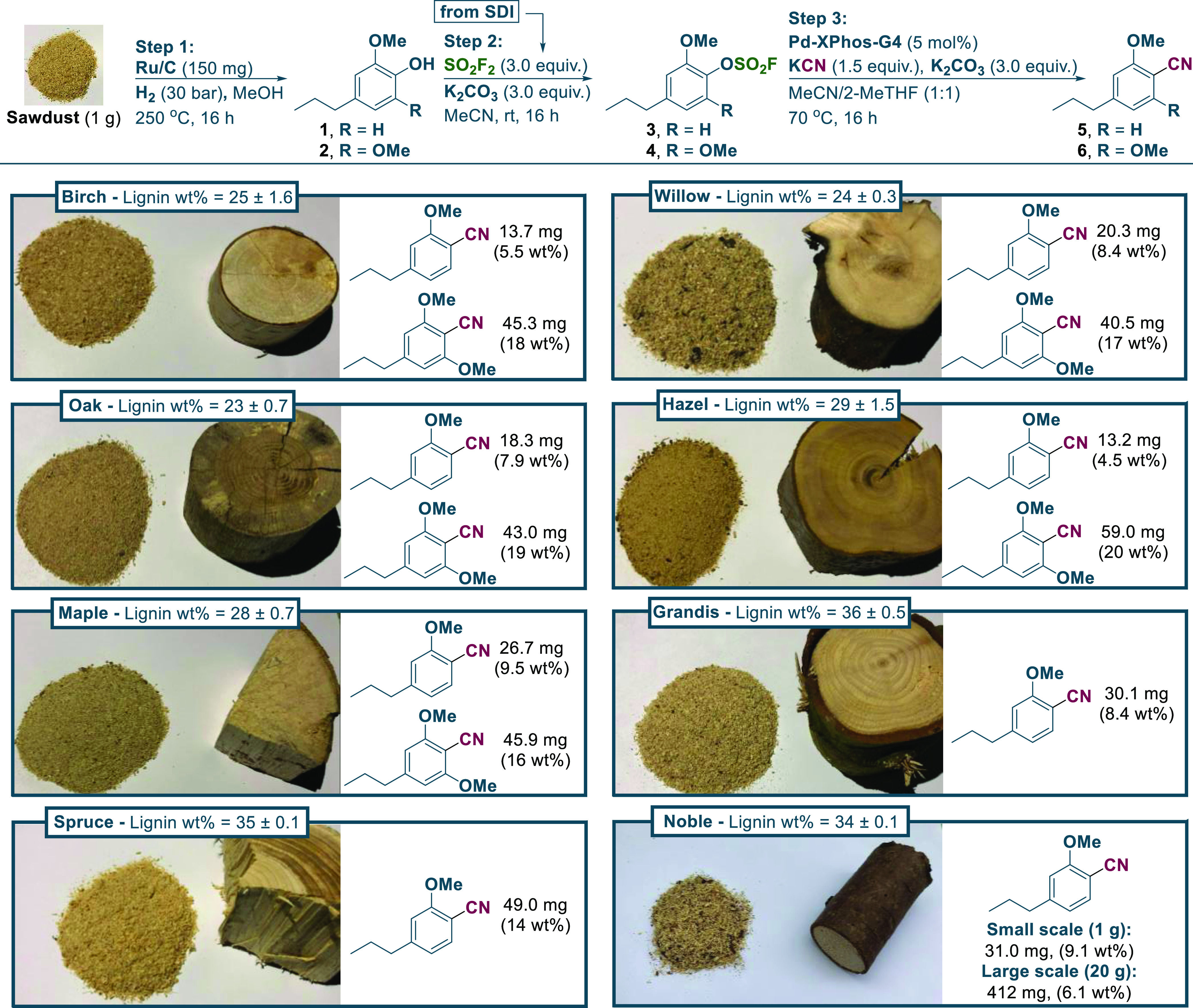 Scheme 3