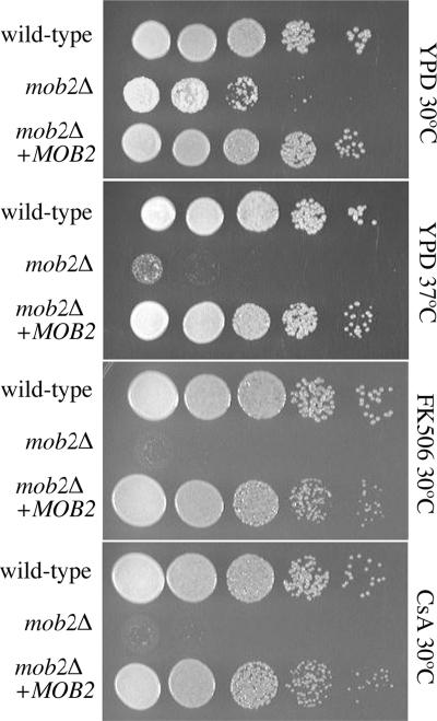 Figure 2.