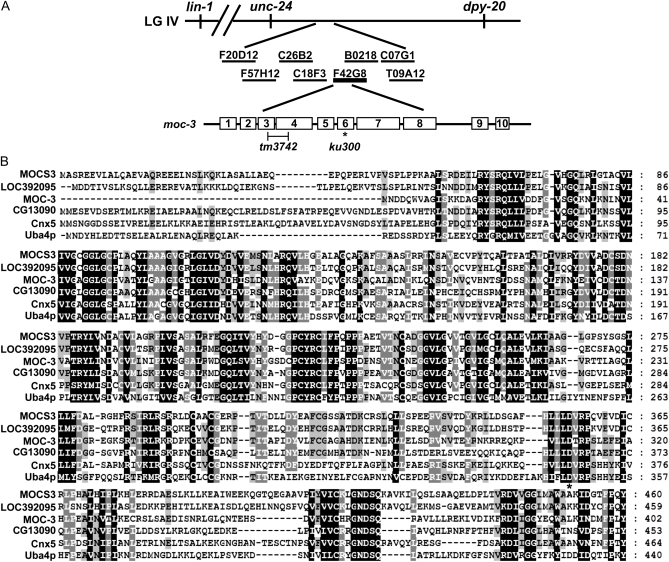 Figure 2.—