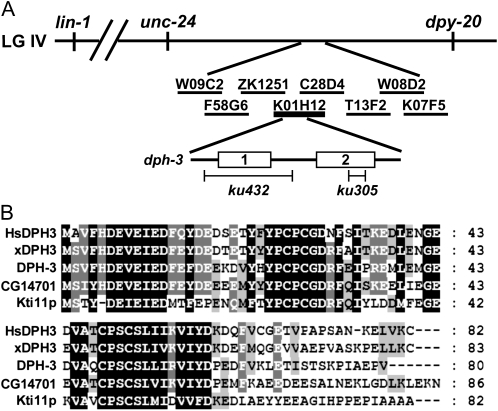 Figure 1.—