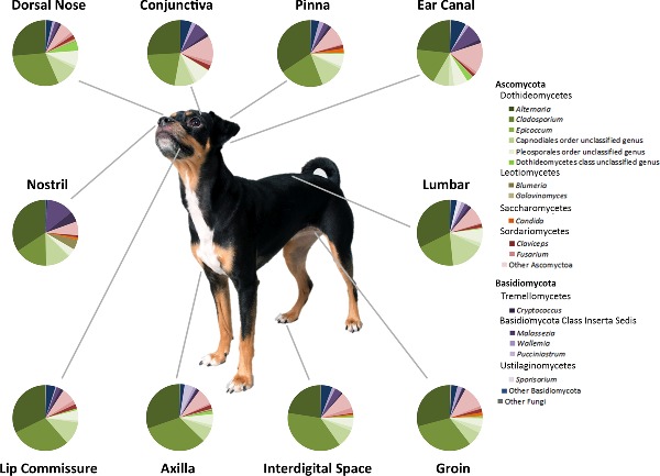 Graphical Abstract Figure.