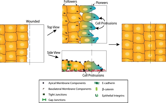 Figure 4