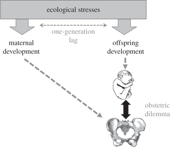 Figure 2.