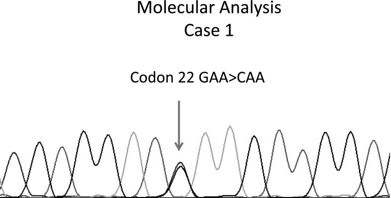 Fig. 3