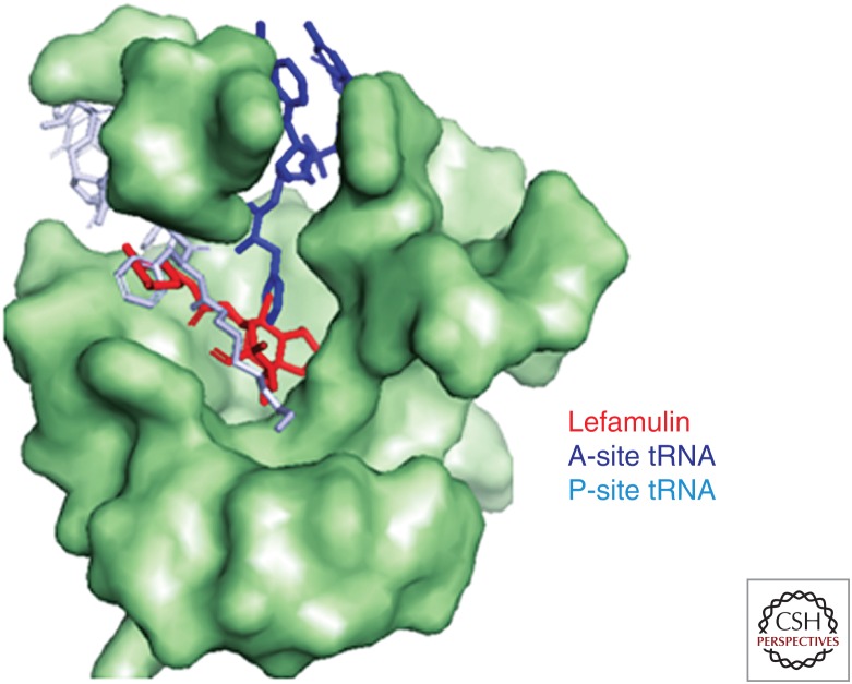 Figure 3.