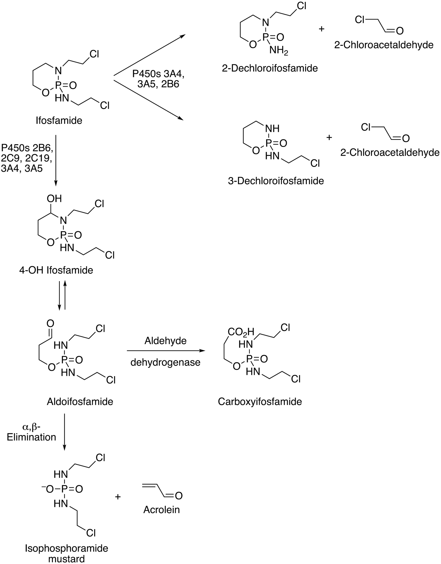 Fig 11