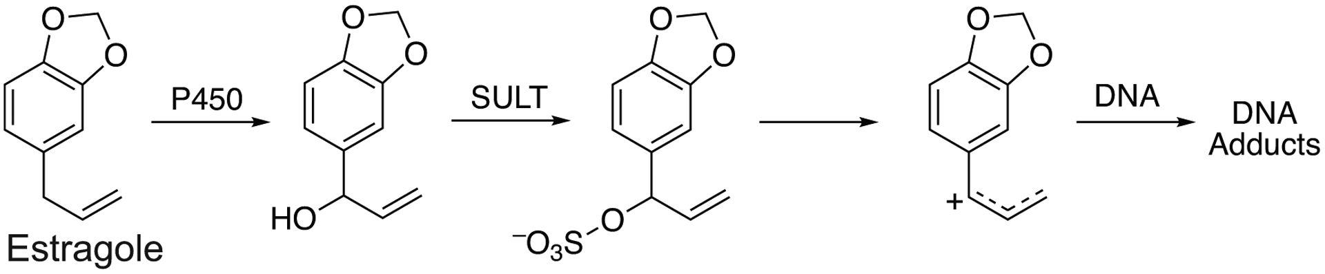 Fig 18