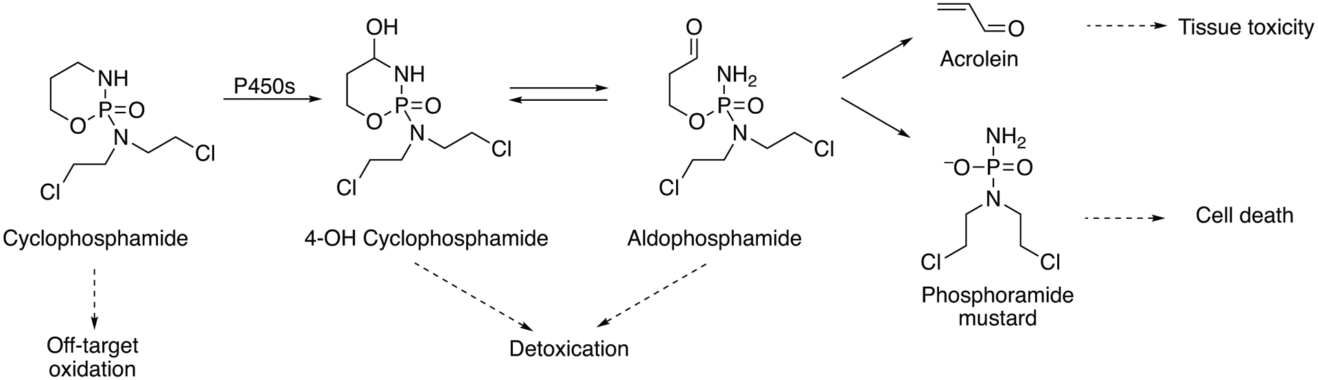 Fig 10