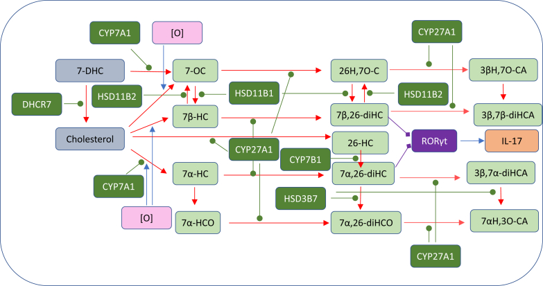 Fig. 10