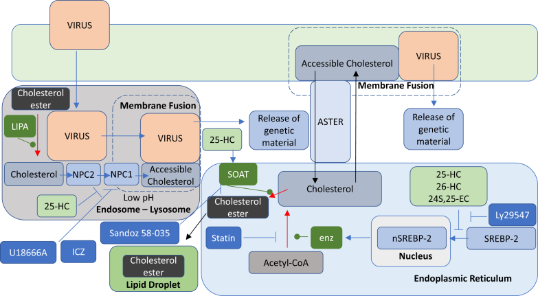 Fig. 7