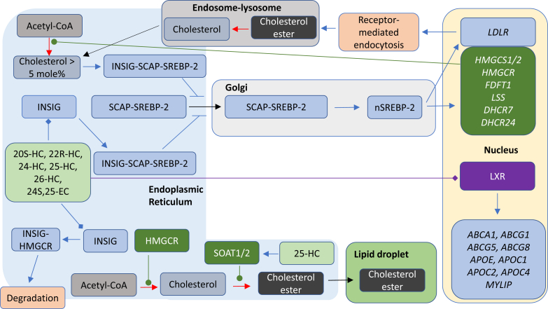 Fig. 4