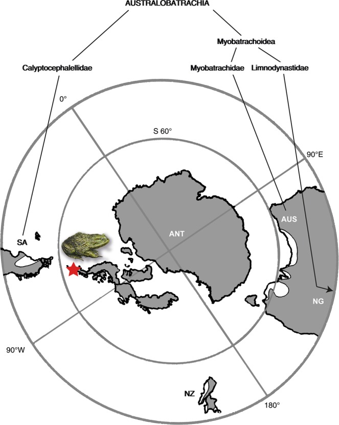 Figure 5