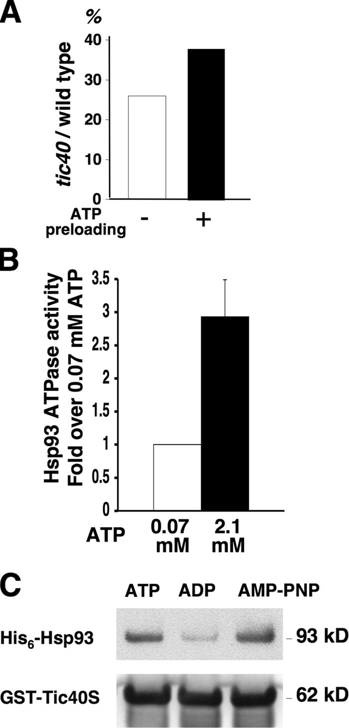 Figure 7.