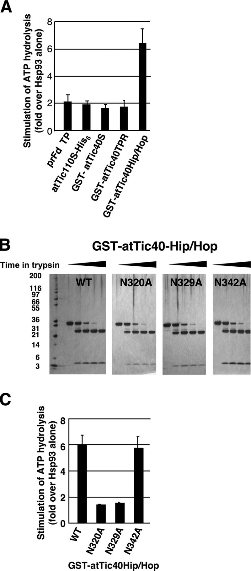 Figure 6.