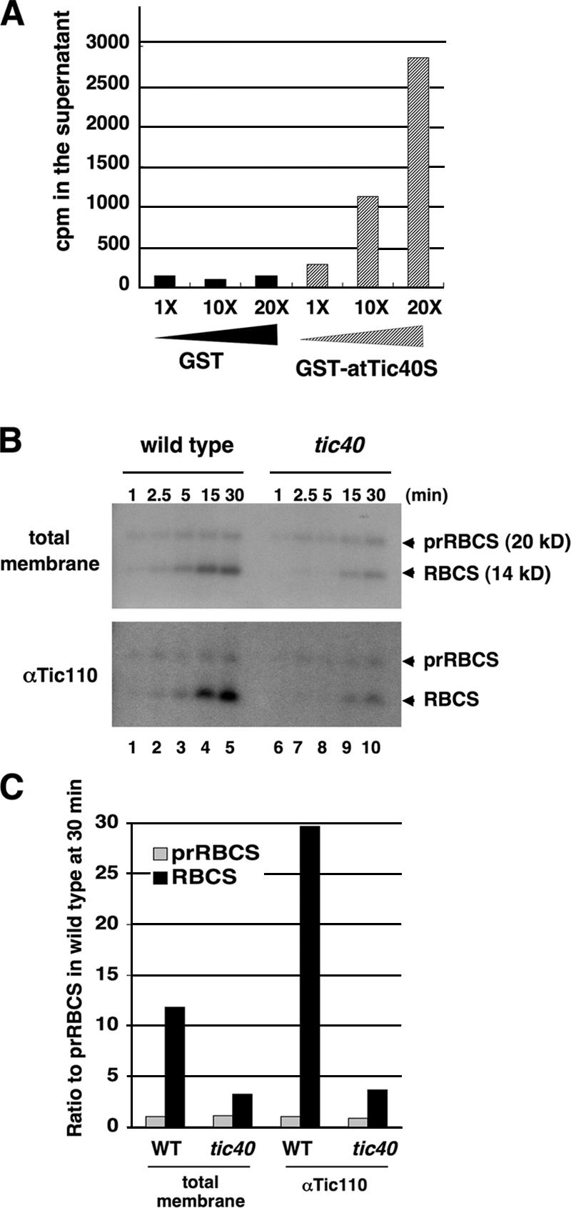 Figure 5.