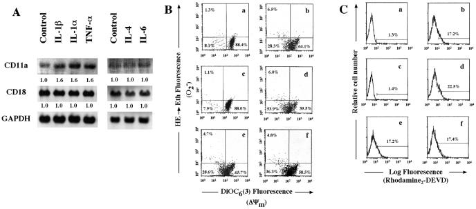 FIG. 7.