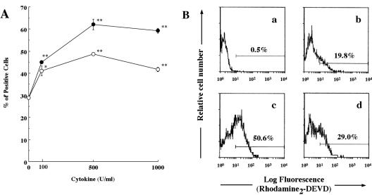 FIG. 8.