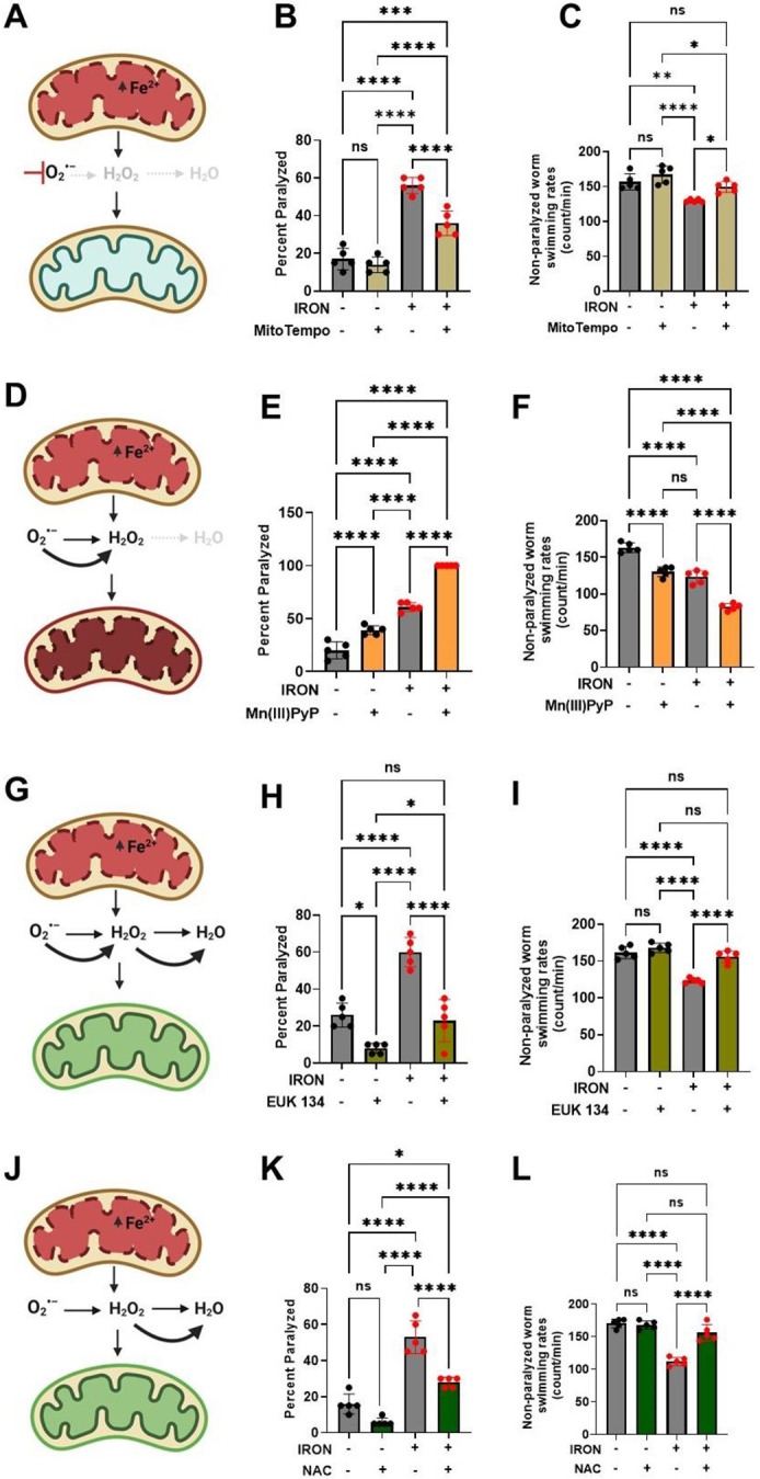 Figure 3: