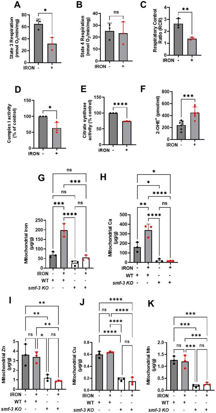 Figure 2: