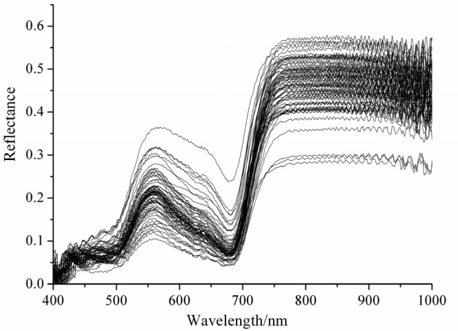 Figure 1.