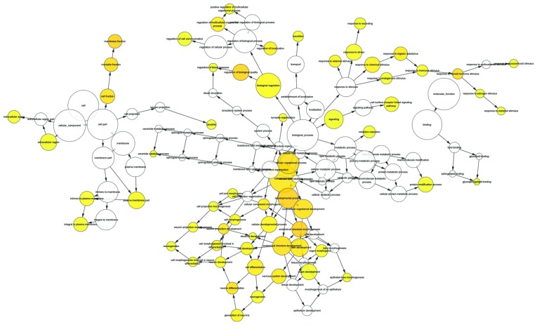 Figure 7.