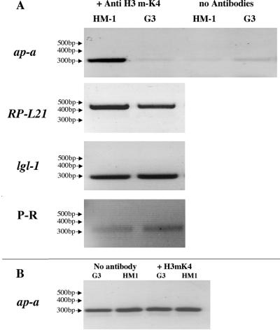 FIG. 6.