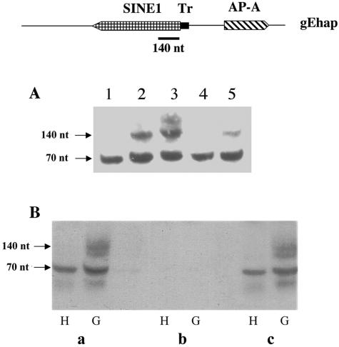 FIG. 5.