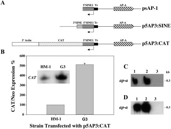 FIG. 4.