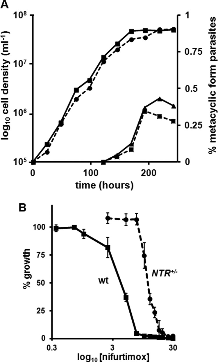 FIGURE 4.