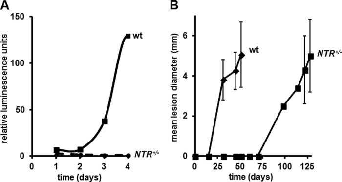 FIGURE 5.