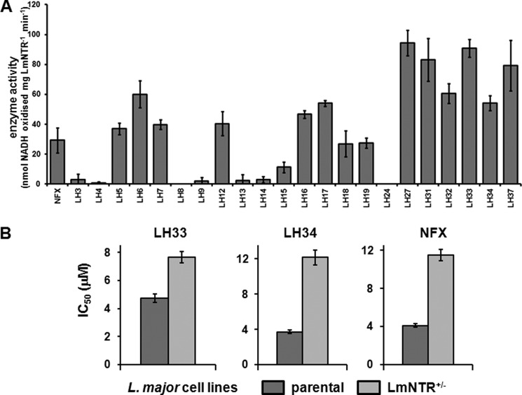 FIGURE 6.