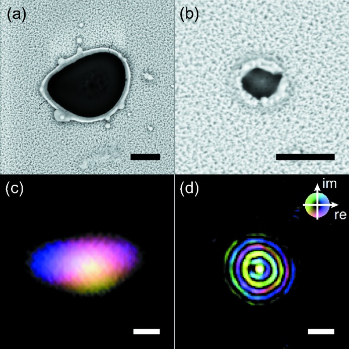 Figure 6