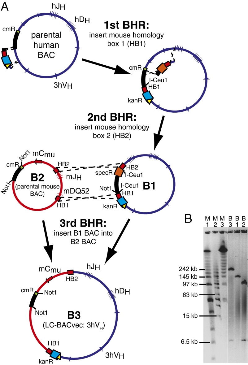 Fig. 3.