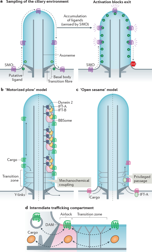 Figure 3|