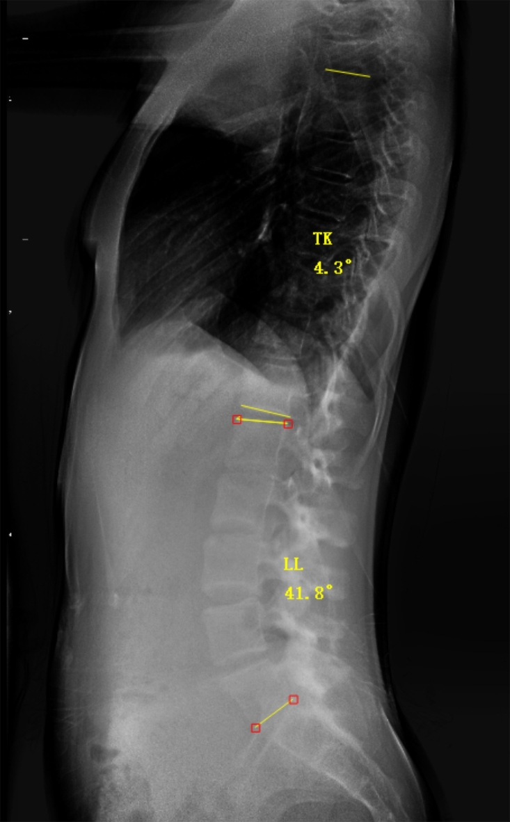 Fig. 2