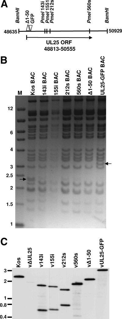 FIG. 5.