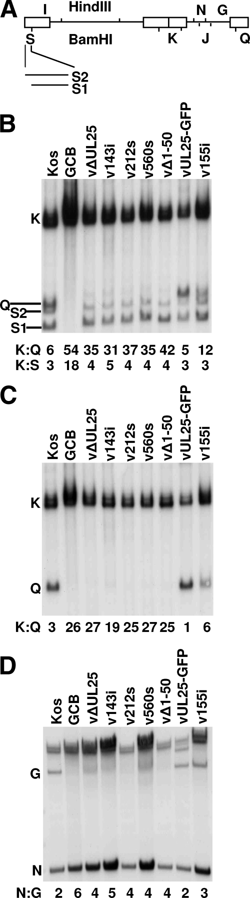 FIG. 7.