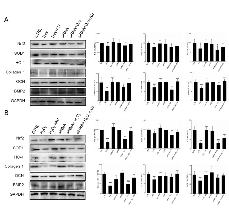 Supplementary Figure 3