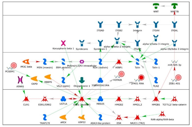 Figure 11