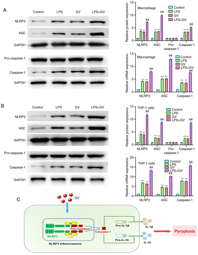 Figure 5